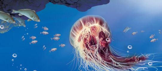 海洋科普 | 哇!它們居然是這種關(guān)系