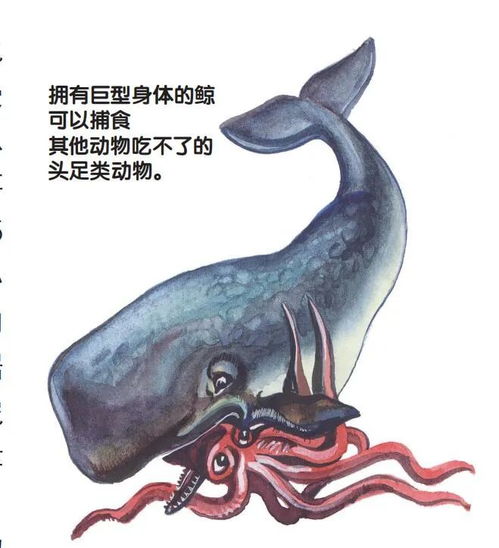 生存的桎梏與進化的鑰匙 環境如何塑造生命形態