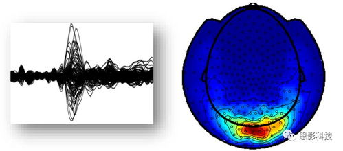 思影數據處理服務六 腦磁圖（MEG）數據處理與軟件開發